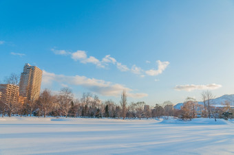 的下一个一天的重雪下降了的小镇区域札幌城市北海道日本