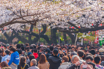 东京日本3月东京<strong>人群</strong>享受樱桃花朵节日上野公园