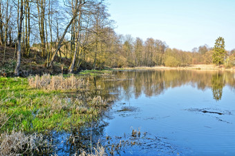 Hdr拍摄的自然湿地池塘