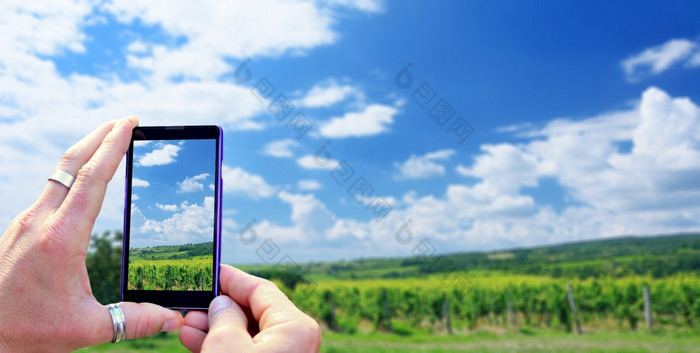 视图在的移动电话显示在采取图片葡萄园持有的移动电话手和采取照片集中移动电话屏幕