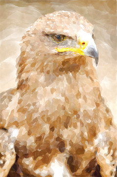 摘要水彩数字生成的绘画的金鹰肖像