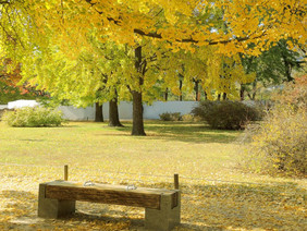 公园板凳上华丽的秋天公园