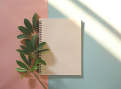 春天绿色叶子与空白笔记本蓝色的和粉红色的背景