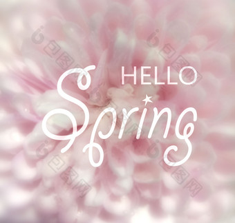 <strong>你好春天</strong>文本标志粉红色的花软背景问候卡概念
