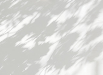 摘要影子叶子白色墙覆盖效果为照片模拟海报静止的墙艺术设计演讲