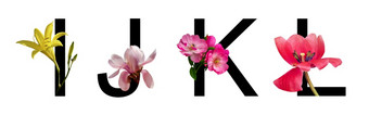 花字体。信创建与真正的花布鲁姆植物区系字体。为装饰春天夏天概念