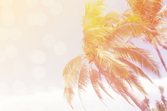 椰子树在清晰的天空一天与太阳光复古的<strong>效果图</strong>像为夏天有趣的聚会，派对旅行概念