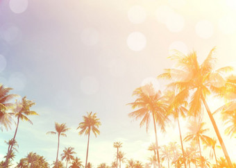 椰子树在清晰的天空一天与太阳光复古的效果图像为夏天有趣的聚会，派对旅行概念