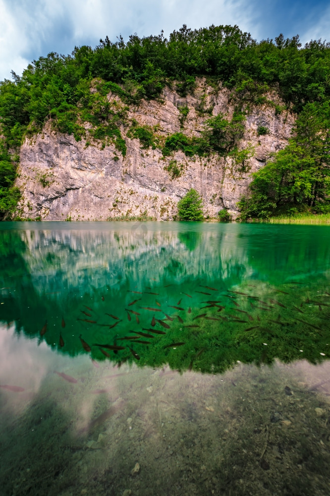 鱼绿松石透明的水特湖泊国家鱼绿松石透明的水特湖泊国家公园克罗地亚