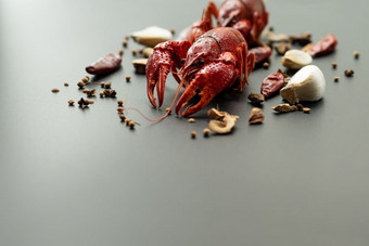 小龙虾红色的婴儿龙虾与草为搅拌弗莱黑色的背景