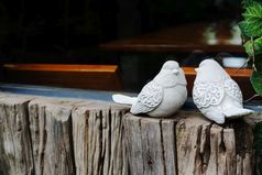 夫妇鸟两个白色鸟雕像的木附近窗口