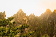 的松树与山日落黄山安徽中国