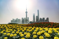 早....景观的履行。黄埔河畔上海城市视图背景
