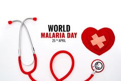 世界疟疾一天4月医疗保健和医疗概念红色的听诊器和红色的心白色背景