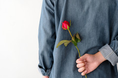 情人节概念男人。持有红色的玫瑰隐藏回来白色背景