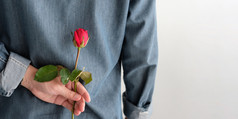 情人节一天概念回来一边男人。持有红色的玫瑰白色背景与复制空间