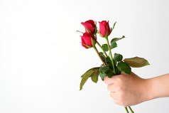 情人节概念男人。手持有红色的玫瑰白色背景
