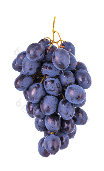新鲜的蓝色的葡萄孤立的白色背景新鲜的蓝色的葡萄孤立的白色背景