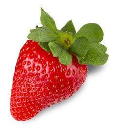 红色的浆果草莓孤立的白色背景