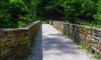 的老石墙边界路径通过的森林老石墙边界路径通过的森林