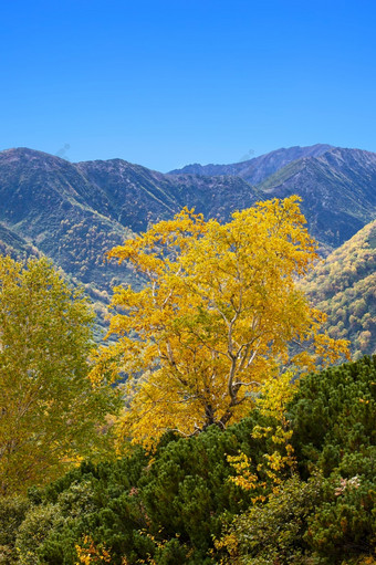 的秋天的山美丽的秋天视图堪察加半岛半岛秋天的山美丽的秋天视图堪察加半岛半岛