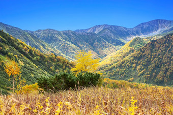 的秋天的山美丽的秋天视图堪察加半岛半岛秋天的山美丽的秋天视图堪察加半岛半岛