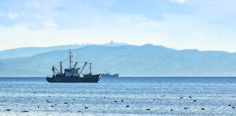 的钓鱼船灰色的早....太平洋海洋从的海岸的堪察加半岛半岛钓鱼船灰色的早....太平洋海洋从的海岸的堪察加半岛半岛