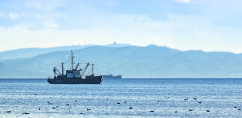 的钓鱼船灰色的早....<strong>太平洋</strong>海洋从的海岸的堪察加半岛半岛钓鱼船灰色的早....<strong>太平洋</strong>海洋从的海岸的堪察加半岛半岛