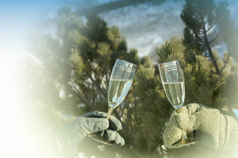 的两个眼镜香槟对的背景雪松分支机构冬天的堪察加半岛半岛两个眼镜香槟对的背景雪松分支机构冬天的堪察加半岛半岛