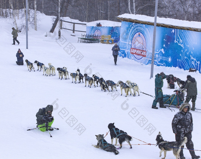 它村堪察加半岛俄罗斯3月之前的开始的比赛贝伦格的体育场堪察加半岛雪橇狗赛车beringia俄罗斯远东堪察加半岛地区比斯特林斯基地区之前的开始的比赛贝伦格的体育场