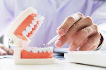 牙医与牙模型<strong>牙科</strong>办公室诊所