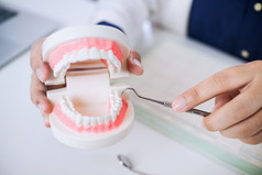 医疗牙医与牙齿模型细节诊所
