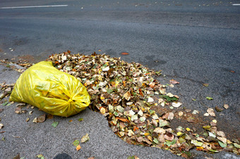 清洁的<strong>街道</strong>的秋天黄色的垃圾袋填满与下降叶子黄色的垃圾袋填满与下降叶子清洁的<strong>街道</strong>的秋天