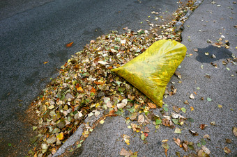 清洁的街道的秋天黄色的垃圾袋填满与下降叶子黄色的垃圾袋填满与下降叶子清洁的街道的秋天