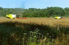 两个农业机器操作的场粮食收获机器操作的场农业土地两个农业机器操作的场农业土地因收获机器操作的场