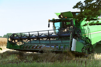 农业机<strong>操作</strong>的场粮食收获机器<strong>操作</strong>的场农业土地
