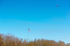 滑翔伞是喜欢航班飞滑翔伞订婚了体育电动机滑翔伞