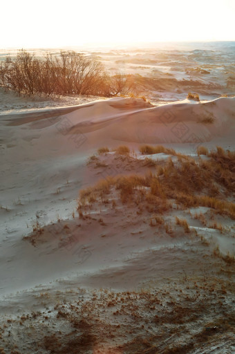 阳光的沙子沙子沙丘的波罗的海海沙丘山和沙子沙丘沙子沙丘的波罗的海海阳光的沙子沙丘山和沙子沙丘