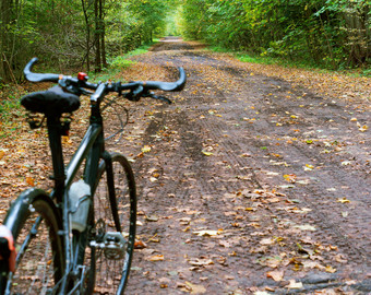 自行车森林小道黑色的自行车森林秋天黑色的自行车森林秋天自行车森林小道