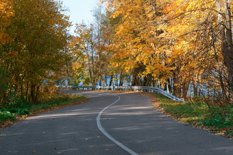 森林路<strong>秋天</strong>叶子<strong>秋天</strong>景观森林小道房间森林<strong>秋天</strong>景观森林路<strong>秋天</strong>叶子