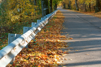 路撞路的森<strong>林</strong>秋天路栅栏和秋天森<strong>林</strong>路栅栏和秋天森<strong>林</strong>路撞路的森<strong>林</strong>秋天