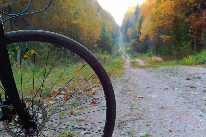 自行车森林小道黑色的自行车森林秋天黑色的自行车森林秋天自行车森林小道