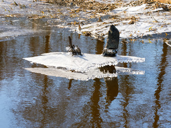 融化了冰的河的池塘发布从的冰的池塘发布从的冰