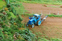拖拉机的场机收获土豆蓝色的拖拉机机收获土豆蓝色的拖拉机