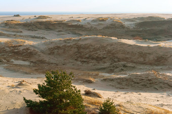 沙子沙丘日落的海的山沙子的阳光的山沙子的阳光沙子沙丘日落的海