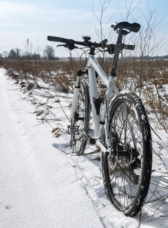 两个自行车的雪自行车骑雪融化骑自行车早期春天
