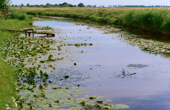 很多植被的河钓鱼码头小池塘钓鱼码头小池塘很多植被的河
