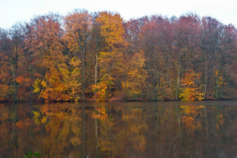 秋天景观黄色的和红色的秋天树黄色的和红色的秋天树秋天景观