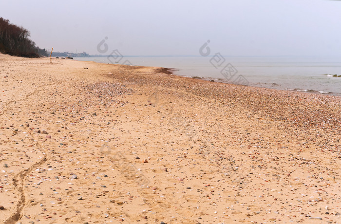 岩石海海岸多雾的多云的海岸的波罗的海海多雾的多云的海岸的波罗的海海岩石海海岸