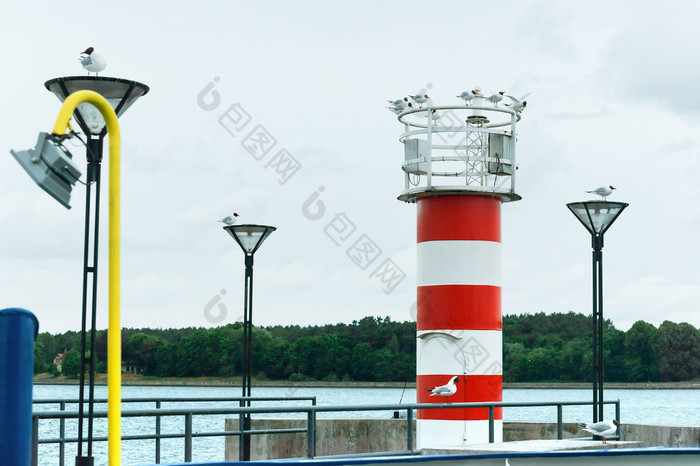 红色的和白色灯塔海鸥的灯塔的灯塔的码头红色的和白色灯塔的灯塔的码头